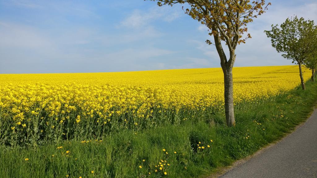 Ferien An Der Ostsee Thomsdorf  المظهر الخارجي الصورة